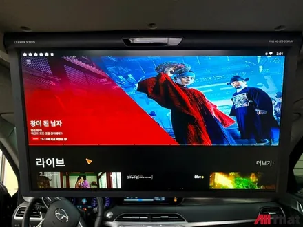 [팰리세이드 천정TV ] / 경남 김해
