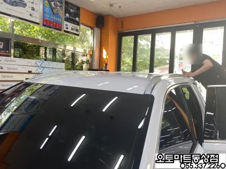 김해 팰리세이드 신차패키지 그릴망시공/화이트펄/ 가솔린/버텍스 시공 최고의 기술력을 찾아서~~ / 경남 김해