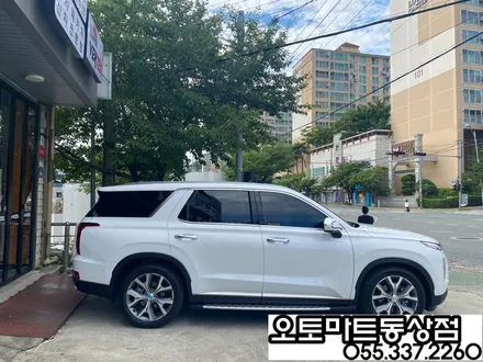 김해 팰리세이드 신차패키지 그릴망시공/화이트펄/ 가솔린/버텍스 시공 최고의 기술력을 찾아서~~ / 경남 김해