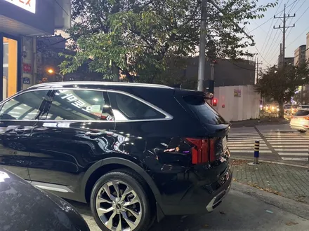 쏘렌토 오로라블랙펄에 스며들어간 브이쿨~김해 신차패키지 가성비 놀랍네! / 경남 김해