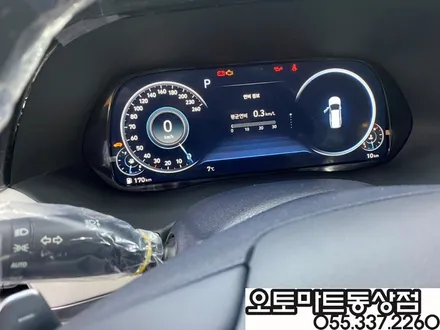 [팰리세이드 스틸그라파이트]루마버텍스900 썬팅  가죽코팅 에프터블로우/ 김해 장유 진영 / 경남 김해