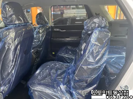 김해 팰리세이드 신차패키지 그릴망시공/화이트펄/ 가솔린/버텍스 시공 최고의 기술력을 찾아서~~ / 경남 김해