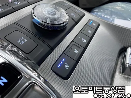 [팰리세이드 스틸그라파이트]루마버텍스900 썬팅  가죽코팅 에프터블로우/ 김해 장유 진영 / 경남 김해