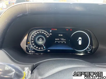 김해 팰리세이드 신차패키지 그릴망시공/화이트펄/ 가솔린/버텍스 시공 최고의 기술력을 찾아서~~ / 경남 김해