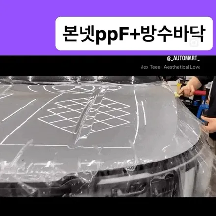 김해 PPF 시공, 카니발 신차라면 본넷 PPF는 선택이 아니라 필수입니다 (2026년식 9인승) / 경남 김해