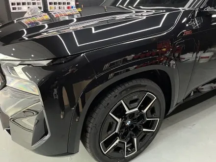 안양 PPF, BMW XM! 우아한 보호막을 섭렵시킨 사례. / 안양시 동안구 관양동