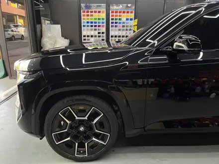 안양 PPF, BMW XM! 우아한 보호막을 섭렵시킨 사례. / 안양시 동안구 관양동