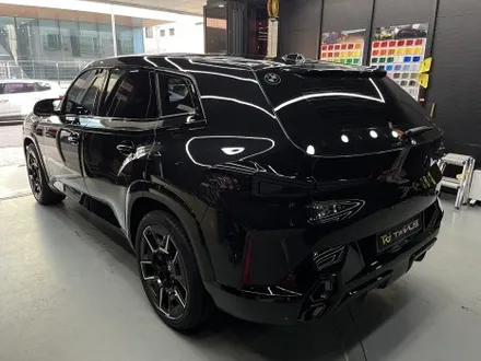 안양 PPF, BMW XM! 우아한 보호막을 섭렵시킨 사례. / 안양시 동안구 관양동