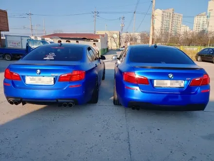 전주랩핑 - 520d 무광블루크롬 반해서 순천에서 원정! / 전주시 덕진구
