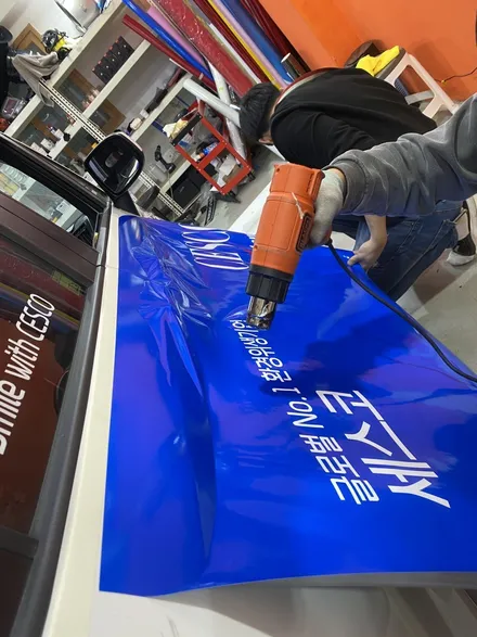 레이 랩핑 세스코 차량 광고랩핑 비비카스킨-★ / 인천, 부평