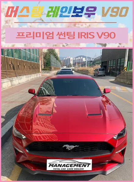 춘천 썬팅 머스탱 레인보우 V90 썬팅 후기 / 춘천시 퇴계동
