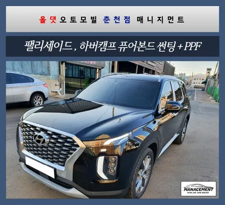 춘천썬팅 팰리세이드, 가성비최고 하버캠프 퓨어본드 썬팅 +PPF / 춘천시 퇴계동