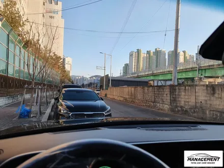 춘천썬팅 팰리세이드, 가성비최고 하버캠프 퓨어본드 썬팅 +PPF / 춘천시 퇴계동
