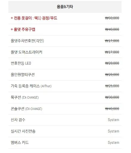 카니발 올댓스타일 3 신차패키지 / 대리석바닥 / 춘천시 퇴계동