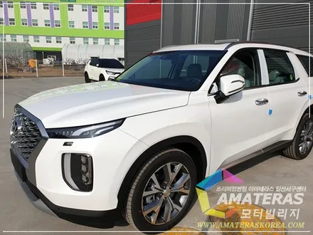 팰리세이드 신차검수 및 신차패키지 / 고양시 구산동