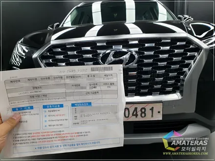 펠리세이드 타임리스 블랙 틴팅만 해도 신차검수와 PPF 서비스 / 고양시 구산동