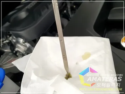 일산 아마테라스 , 산타페 인스퍼레이션 마그네틱포스( 가솔린 ) 신차검수&신차패키지 시공기 / 고양시 구산동