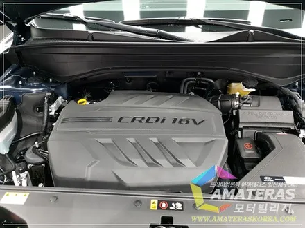 펠리세이드 문라이트 클라우드 신차검수 & 신차패키지는 모터빌리지 / 고양시 구산동