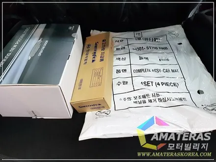 산타페TM 인스퍼레이션 가솔린 아마테라스 시공기 / 일산 모터빌리지 / 고양시 구산동