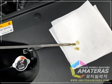 팰리세이드 신차검수 및 신차패키지 / 고양시 구산동