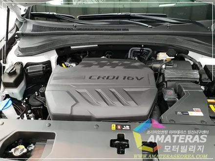 아마테라스일산서구센터의 산타페TM 인스(인스퍼레이션) 화이트크림 신차검수&신차패키지 / 고양시 구산동