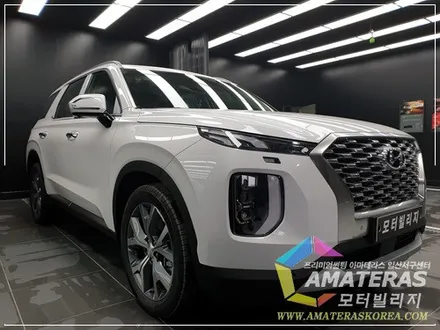 팰리세이드 신차검수 및 신차패키지 / 고양시 구산동