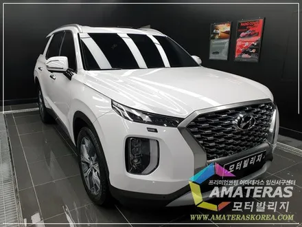 팰리세이드 신차검수 및 신차패키지 / 고양시 구산동