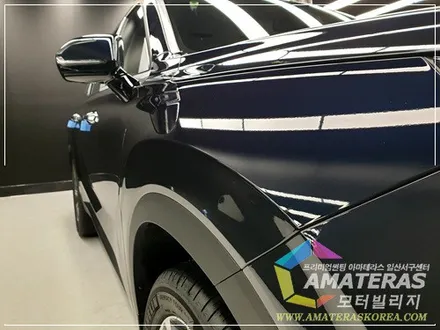 펠리세이드 문라이트 클라우드 신차검수 & 신차패키지는 모터빌리지 / 고양시 구산동