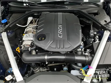 자동차선팅 g70 한번할때 제대로 여름 준비도 완벽 / 고양시 구산동