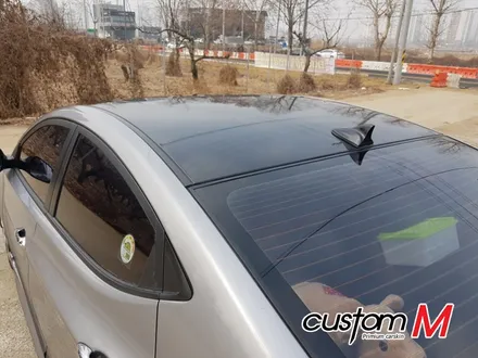 평택 안성 루프스킨 최상의 퀄리티로! / 평택 도일동