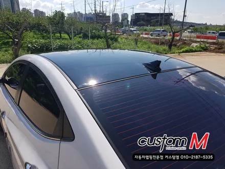 평택안성랩핑) 아반떼MD 루프스킨 깊은 색감의 퀄리티있는 시공으로 더욱 더 완벽해지다! / 평택 도일동