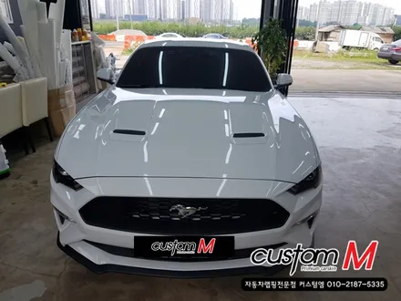 머스탱랩핑) 머스탱의 멋있는 변신! 몬스터 데칼시공+바이퍼라인시공 / 평택 도일동