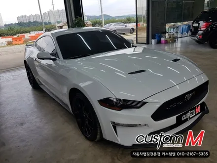 머스탱랩핑) 머스탱의 멋있는 변신! 몬스터 데칼시공+바이퍼라인시공 / 평택 도일동