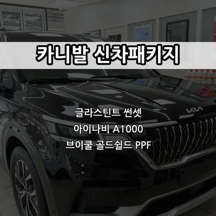 인천 카니발 신차패키지, 글라스틴트 썬셋, 아이나비 A1000 / 남동구 고잔동