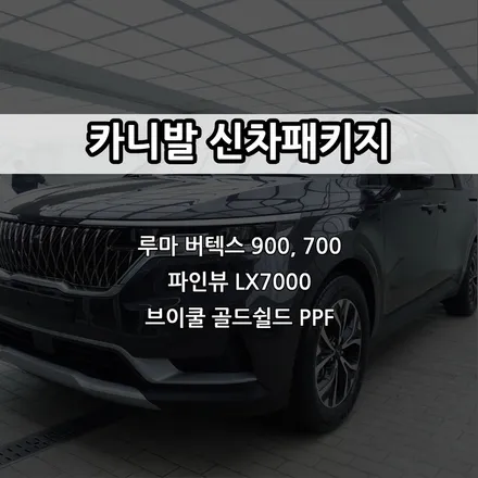 인천 카니발 신차패키지, 루마 버텍스 900, 700, 파인뷰 LX7000, 브이쿨 골드쉴드 PPF / 남동구 고잔동
