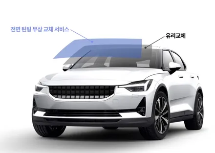 모델Y에 찰떡인 레이노F95, 컬러별 시공비교 / 남동구 고잔동