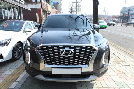 팰리세이드 레이노 틴팅과 가디언 장착 그리고 신차패키지 / 남동구 고잔동