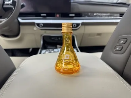 인천 카니발 신차패키지, 생고뱅 파노라마 럭스 X, 레이노 LX904 가죽코팅, 유리막코팅, 생활보호 PPF / 남동구 고잔동