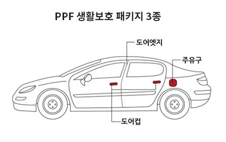 팰리세이드 신차 PPF시공으로 보호해주세요 / 남동구 고잔동