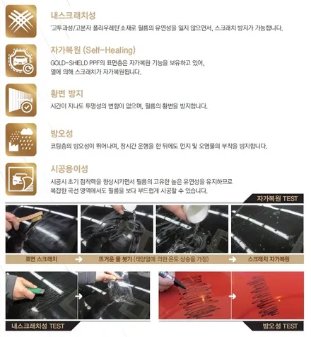 [인천신차패키지] 인천카니발신차패키지 인천브이쿨썬팅 인천카니발방음 브이쿨골드쉴드PPF / 남동구 고잔동