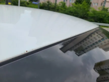 운양동 손세차 벌레파티 끝냄 / 경기 김포