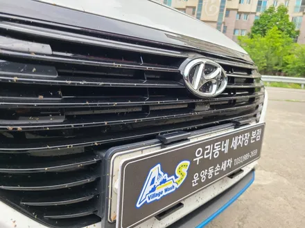 운양동 손세차 벌레파티 끝냄 / 경기 김포