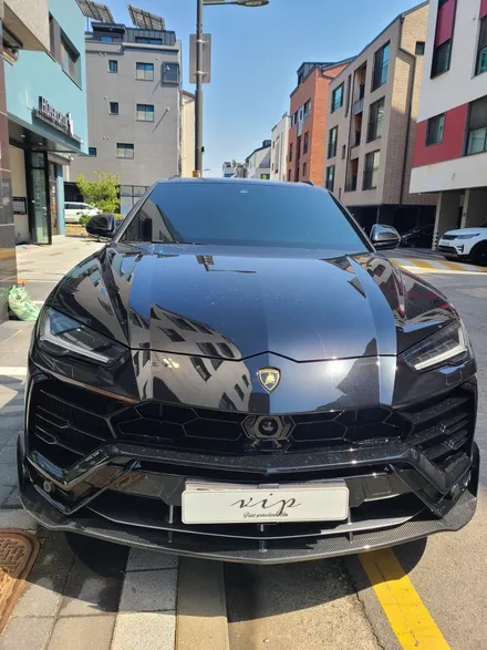 성남, 양재, 강남, 분당 ppf 람보르기니 우르스 무광 ppf / 성남시 수정구 고등동