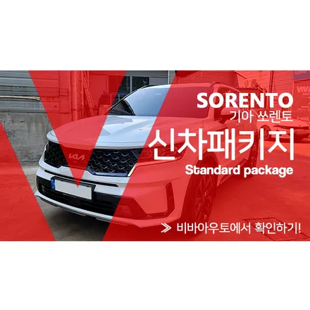 쏘렌토 스노우 화이트펄에 블랙의 멋을 더한 버텍스 900/700 시공 / 부산 진구