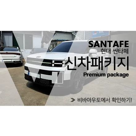 부산 신차패키지 가격까지 합리적인 비바아우토! / 부산 진구