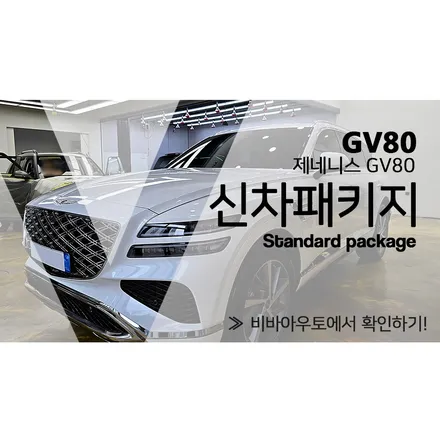 부산 테라룩스 IR 제네시스GV80에 적용하기 / 부산 진구 양정동