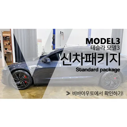 테슬라 모델3 테라룩스 IR 썬팅 어울릴까? / 부산 진구 양정동