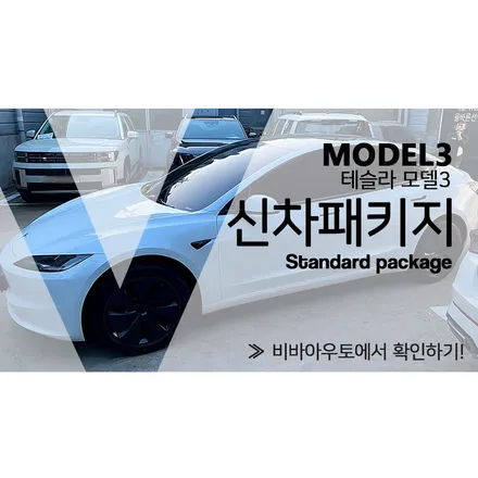 양산 테슬라 모델3 신차패키지 간단하게만 해도 된다네요? / 부산 진구 양정동