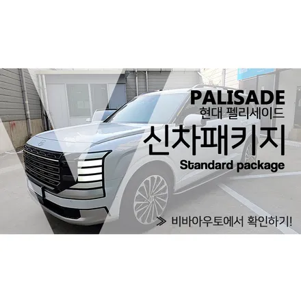 부산 브이쿨, 팰리세이드에 VK를 입히다. / 부산 진구 양정동