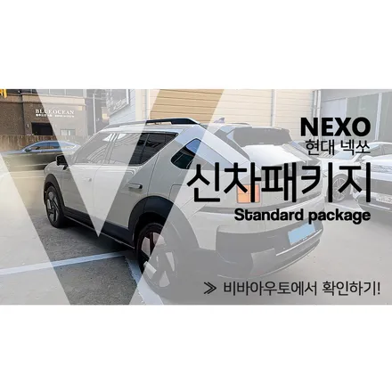 부산 강서구 썬팅, 넥쏘 고요 카 펄 색상과 버텍스 조합 미쳤다! / 부산 진구 양정동